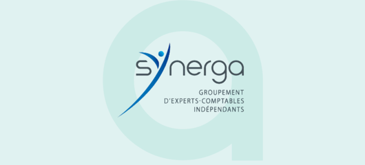 Vignette Synerga