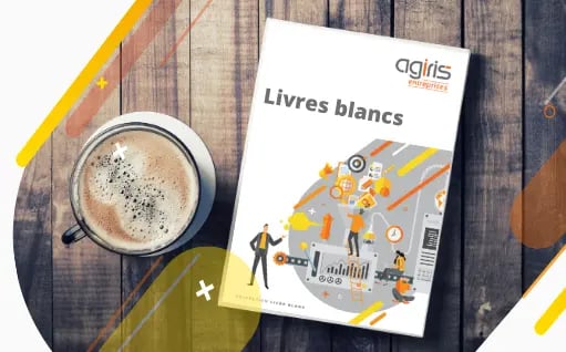 ae-2021-banniere-ressources-livres-blancs