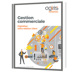livre-blanc-gestion-commerciale