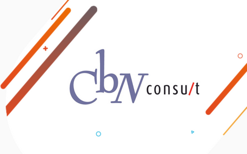 visuel-1022-agiris-logo-cbn-consult