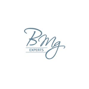 visuel-vignette-logo-bmg-experts