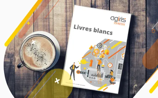 ae-2021-banniere-ressources-livres-blancs