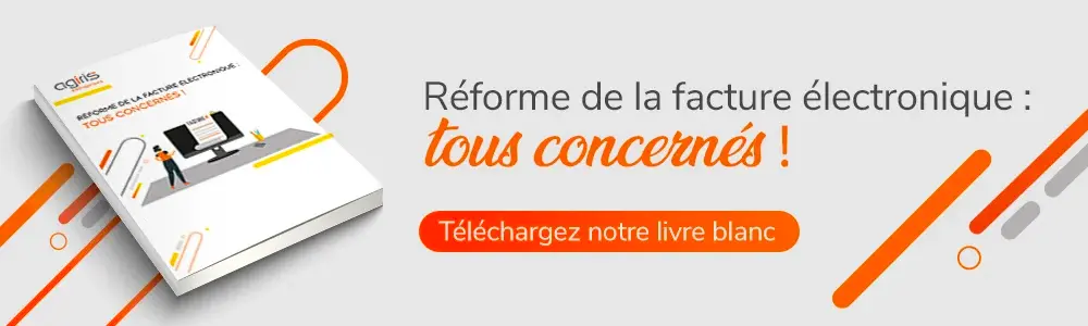 livre blanc sur la facture electronique